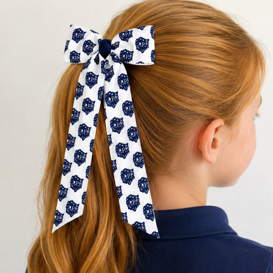 Pride Hair Bow- Long