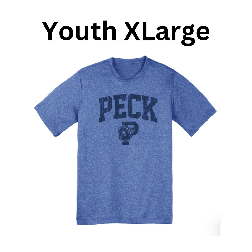 Youth XLarge - Blue P Lion Heads Heathered Performance T-Shirt