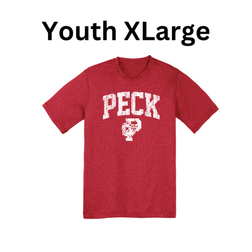 Youth XLarge - Red P Lion Heads Heathered Performance T-Shirt