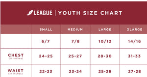 Youth Downy/ Redhead Pennant Ringer Tee