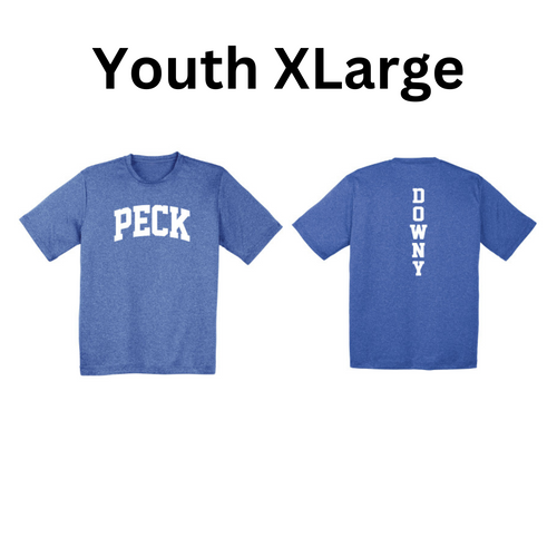 Youth XLarge - Downy Heathered Performance T-Shirt